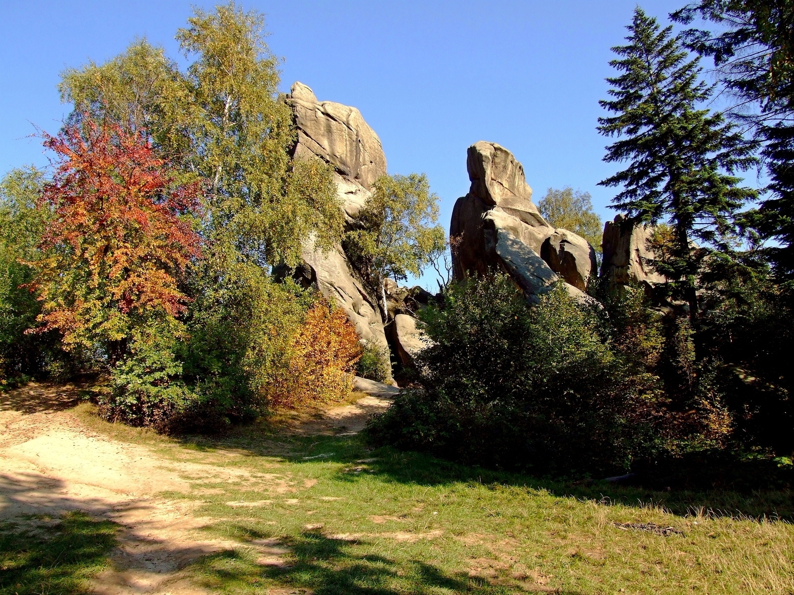 Partner: Rezerwat przyrody „Prządki”, Adres: Czarnorzeki